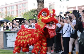 “爱与和平”雍陌村主题活动圆满举办 助力打造三乡文旅金字名片